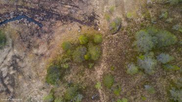 Dronebilde over en del av Lykkja Hyttefelt