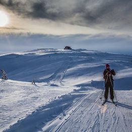Skigåer som går på en av de mange løypene i fjellområdet rundt Lykkja hyttefelt