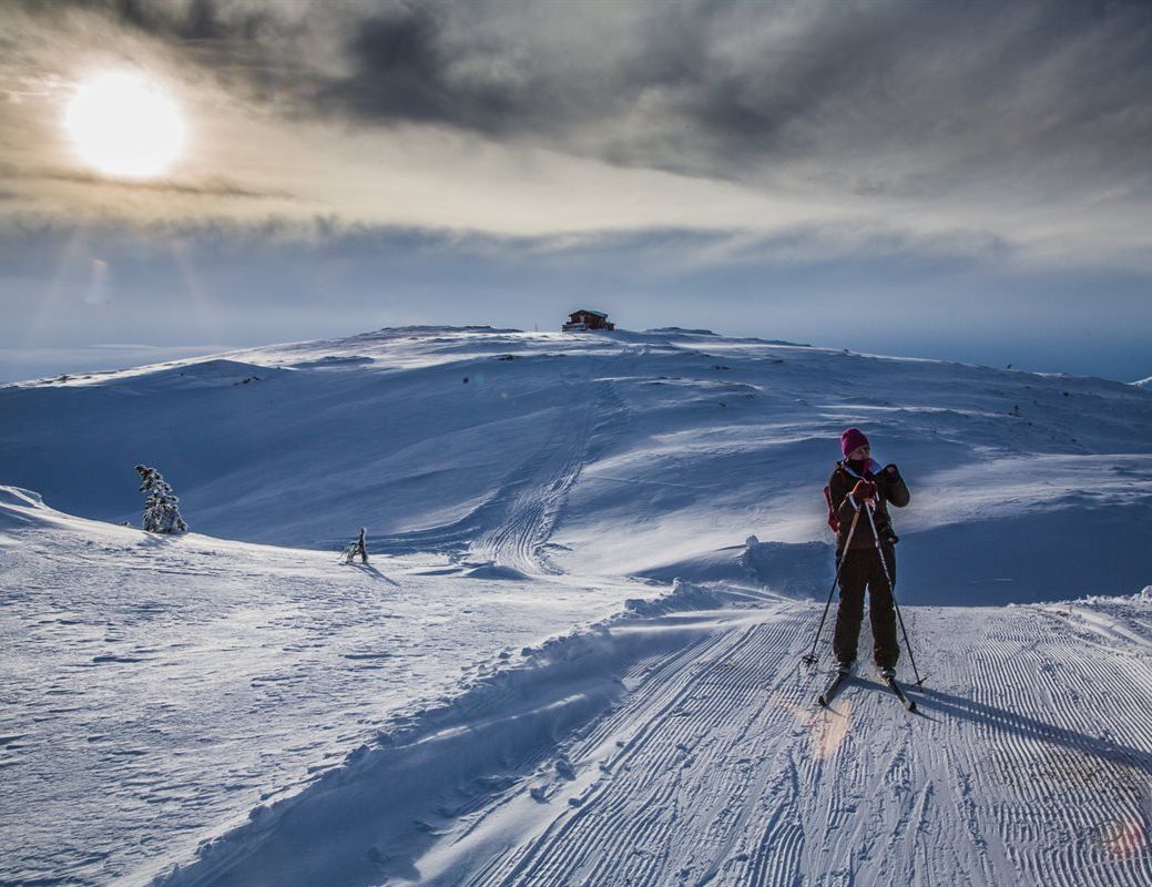 Skigåer som går på en av de mange løypene i fjellområdet rundt Lykkja hyttefelt