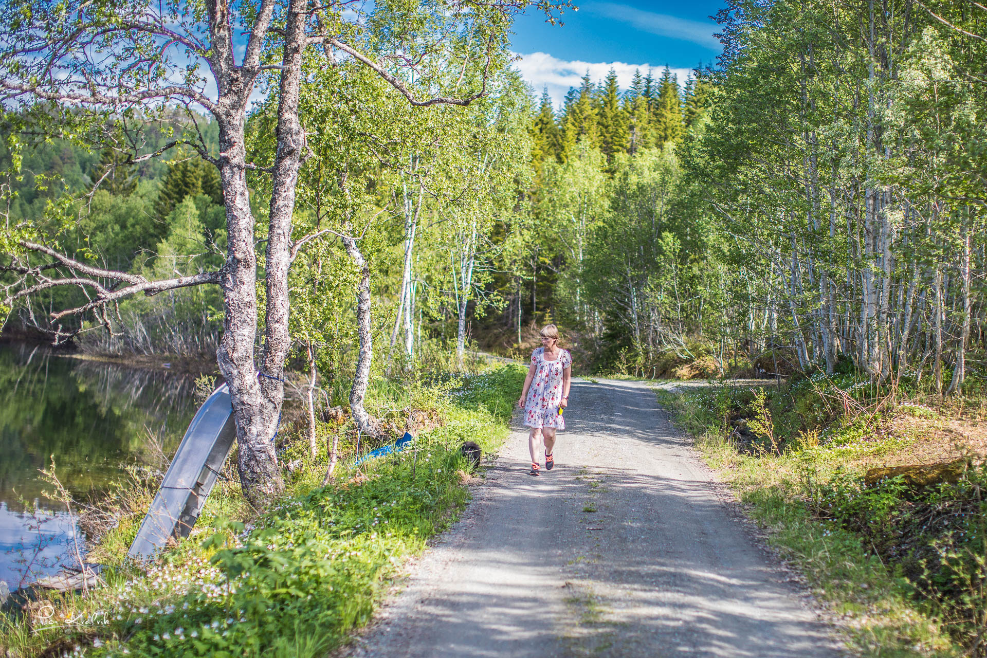 Sommerveien til Lykkja Hyttefelt