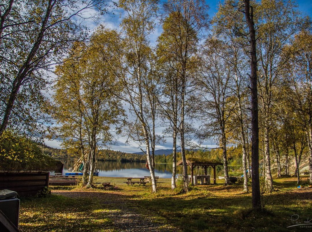 Strandområdet nedenfor hyttefeltet