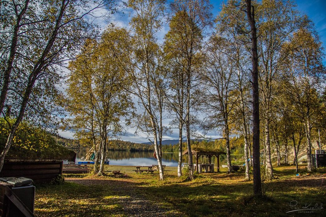 Strandområdet nedenfor hyttefeltet