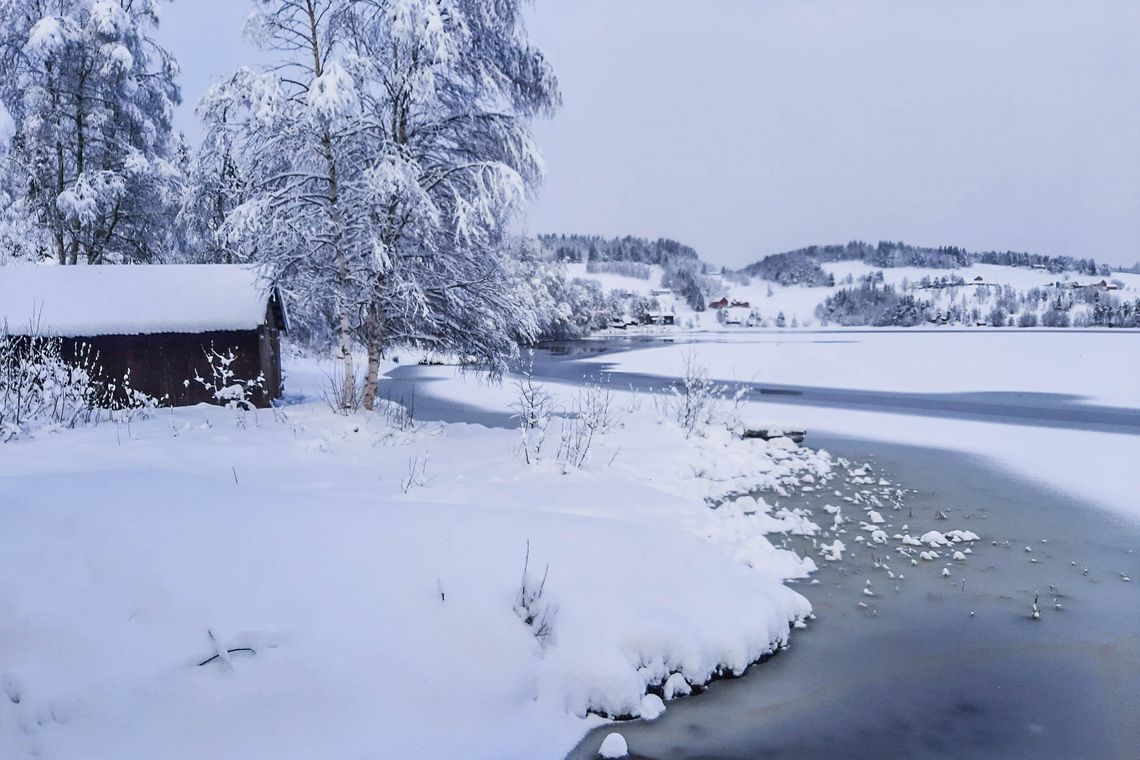 Vinterbilde ved Rørvatnet