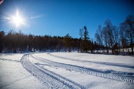Solfylt vinterlandskap ved Lykkja hyttefelt