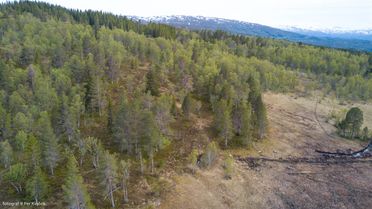 Dronebilde over en del av Lykkja Hyttefelt