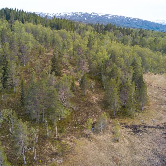 Dronebilde over en del av Lykkja Hyttefelt