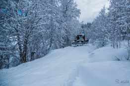 Bilde av tråkkemaskin som kjører på den snødekte veien innover hyttefeltet 