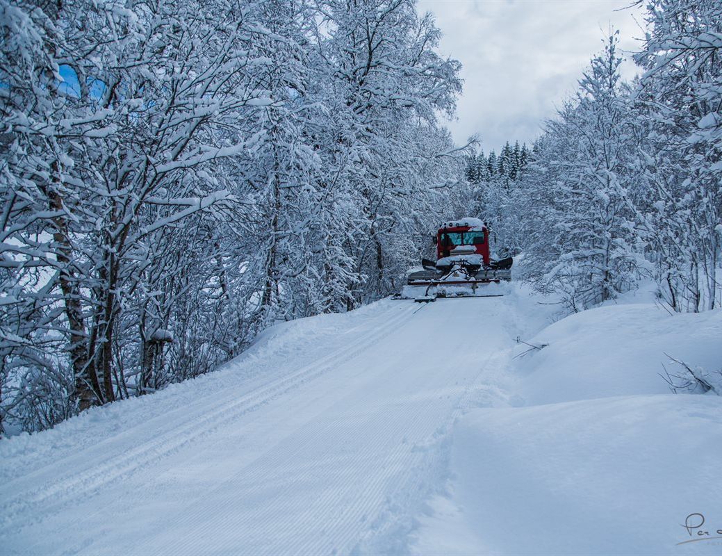 Bilde av tråkkemaskin som kjører på den snødekte veien innover hyttefeltet 