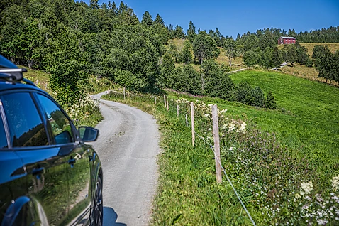 Sommerveien Rørvatnet - foto Per Kvalvik